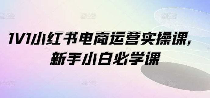 1V1小红书电商运营实操课，新手小白必学课，1V1小红书电商运营新手小白实战指南，快速入门与技巧解析,课程,视频,教程,第1张