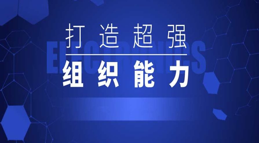 打造超强组织能力二十讲，打造超强组织能力二十讲，领导力提升与团队协作策略