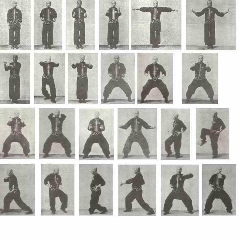 余志伟—工字伏虎拳avi格式，余志伟，工字伏虎拳传承者 - 详解与avi格式资源