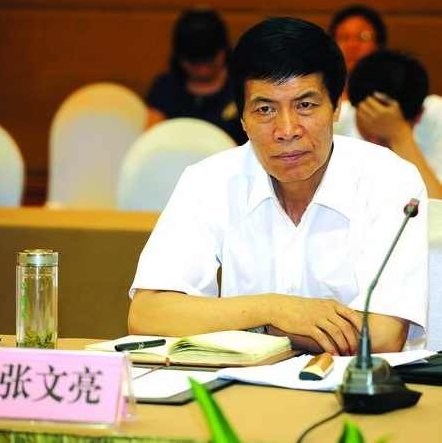 张文亮 人生意义的追寻，张文亮，追寻人生意义的深度探索