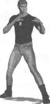 《格斗桑博》AVI格式6讲，格斗桑博，六讲精解 AVI格式教学