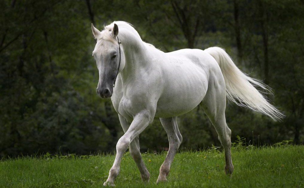 马云点评创业-附光盘CCTV赢在中国现场精彩点评实录，马云点评创业实录，赢在中国现场精彩点评实录附光盘——创业者的智慧与启示