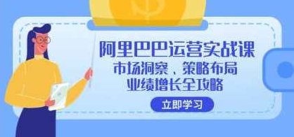 《阿里巴巴运营实战课》1688市场洞察、策略布局、业绩增长全攻略，阿里巴巴运营实战课，1688市场深度解析与策略布局，业绩飞跃增长全攻略