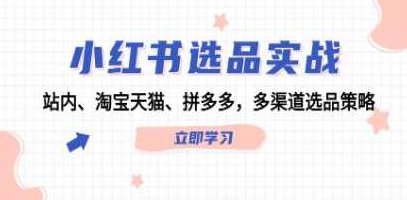 《小红书选品实战》站内、淘宝天猫、拼多多，多渠道选品策略，小红书选品实战，多平台、多渠道选品策略全解析