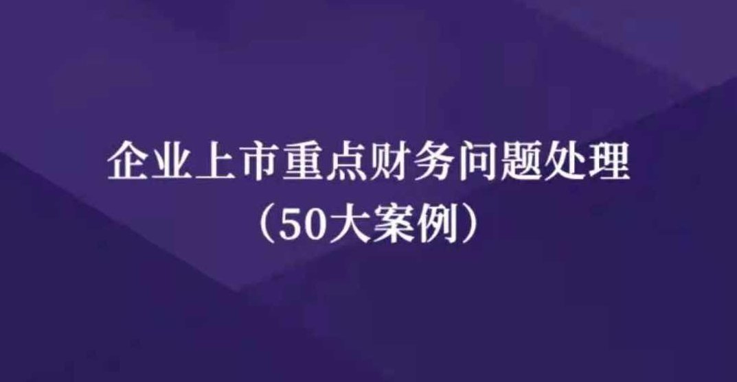 企业上市重点财务问题处理（50大案例）企业上市关键财务问题解析与处理策略（50大成功案例）