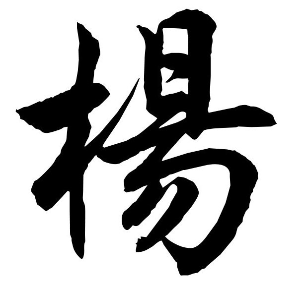 杨台轩 破解民企管理结点的九大方略