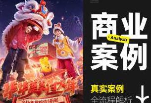 真实商业案例全流程详解2023全新DLC，2023全新DLC，真实商业案例全流程深度解析与实践指南,课程,制作,创意,第1张