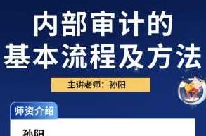 中华会计网校孙阳：内部审计方法及流程（视频）孙阳详解，内部审计方法与流程实战解析（视频教程）,课程,视频,应用,第1张