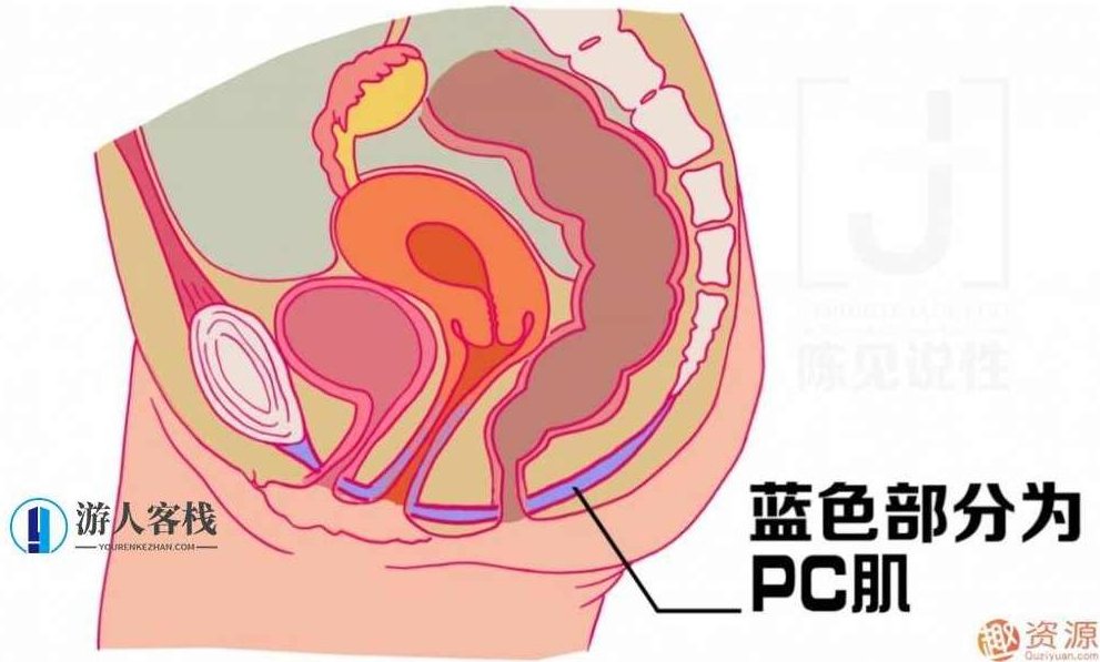 女性朋友怎么练习玉蛋功？玉蛋功步骤教学图，女性朋友如何练习玉蛋功,玉蛋功步骤教学,女性朋友练习玉蛋功,如何练习玉蛋功,第1张