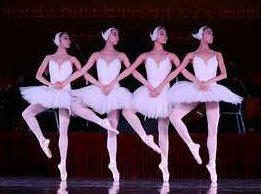 刘天礼四小天鹅视频，刘天礼解析四小天鹅舞蹈视频,视频,第1张