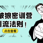 杀破狼密训营：B站霸屏引流的原理及方式+搭建赚钱的内容法则，杀破狼密训营，B站内容营销与盈利之道——深度解析引流策略与内容法则