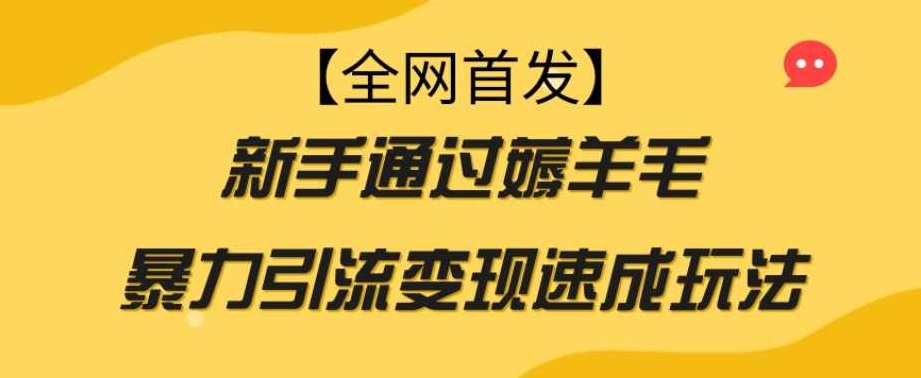 【全网首发】新手通过薅羊毛暴力引流变现速成玩法，独家揭秘新手薅羊毛引流变现速成攻略，暴力引流策略全解析