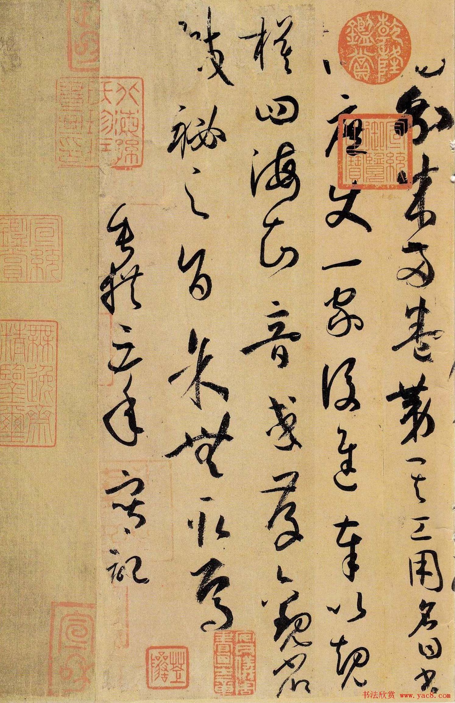 孙晓生 穿越时珍本草王国,研究,俄语,第1张 孙晓生 穿越时珍本草王国,研究,俄语,第1张