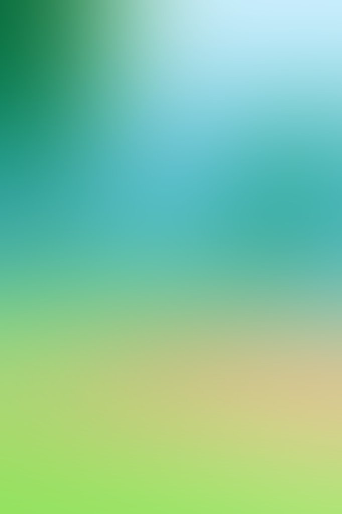 蓝淼 供应商审核、评级、认证与激励