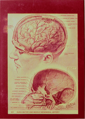 谢京城 颅内压增高,专家,研究,第1张