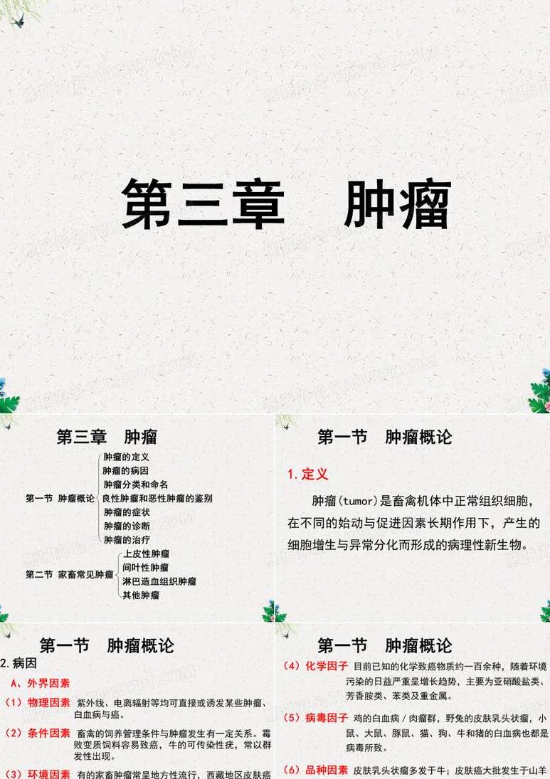 陈铁桥 兽医外科学全37集,大学学习,第1张