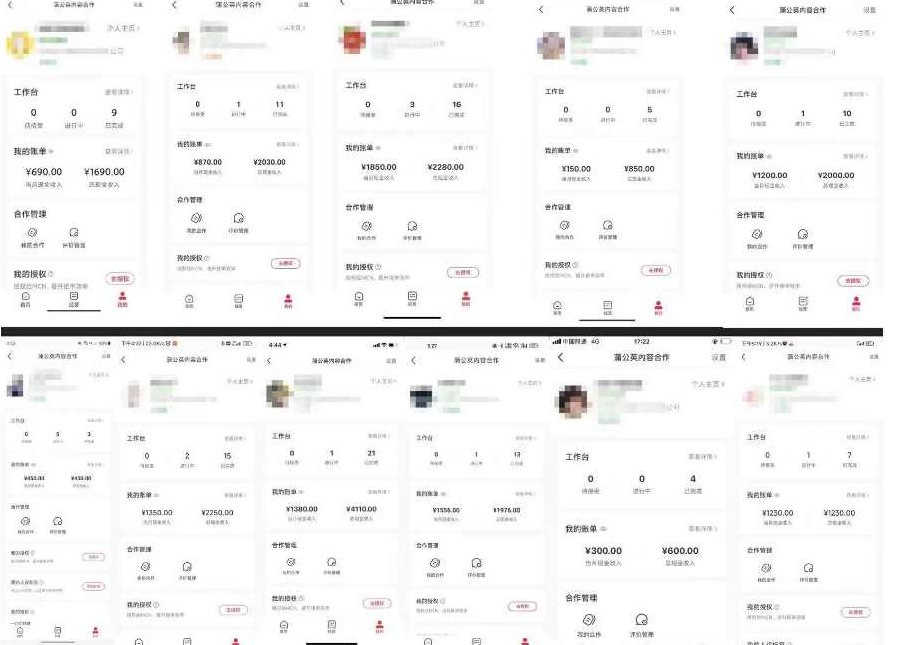 外面收费1980的小红书商单保姆级教程，单号月入2k，矩阵操作轻松月入过万,课程,视频,教程,第2张