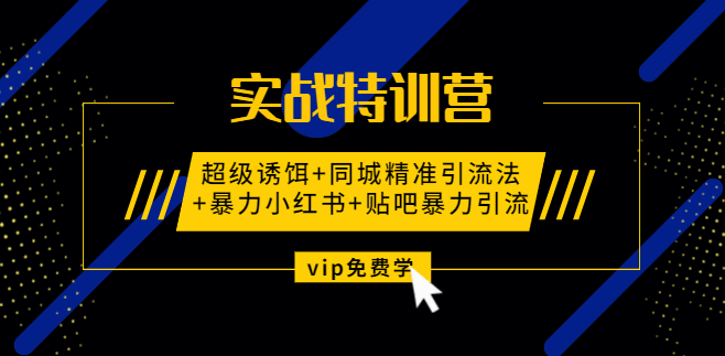 实战特训营:超级诱饵+同城精准引流法+暴力小红书+贴吧暴力引流（视频课程）,课程,视频,赚钱,第2张