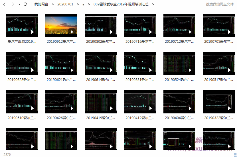 雪球爱尔兰2019年视频培训汇总,视频,培训,第1张