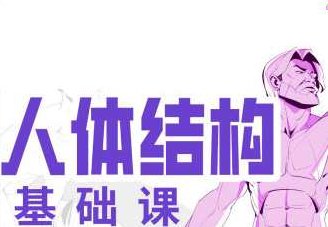 大木人体结构基础第11期2023年,课程,基础,理论,第1张
