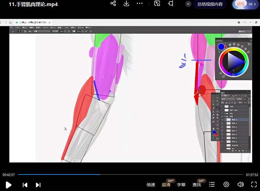 大木人体结构基础第11期2023年,课程,基础,理论,第3张