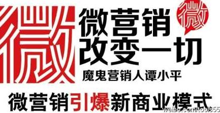 音频讲座 谭小平-鬼才-实战微营销四天价值12800录音全套,讲座,创业,培训,第1张 音频讲座 谭小平-鬼才-实战微营销四天价值12800录音全套,讲座,创业,培训,第1张