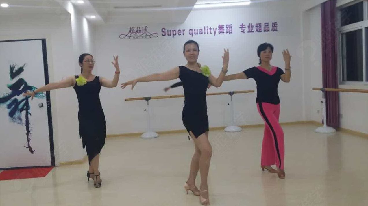 拉丁舞 国际冠军-斯拉维克与卡琳娜激情拉丁舞基础教程,教程,基础,第1张