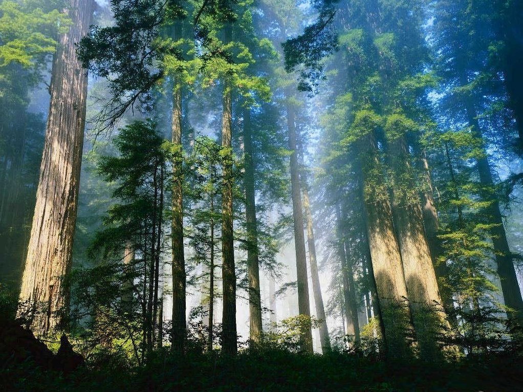 林有田 催款,林有田,第1张 林有田 催款,林有田,第1张