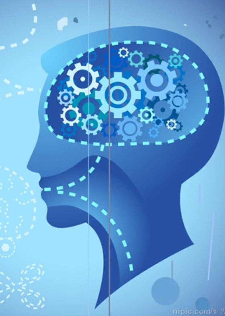 最强大脑炼成-如何塑造天马横空的想象力