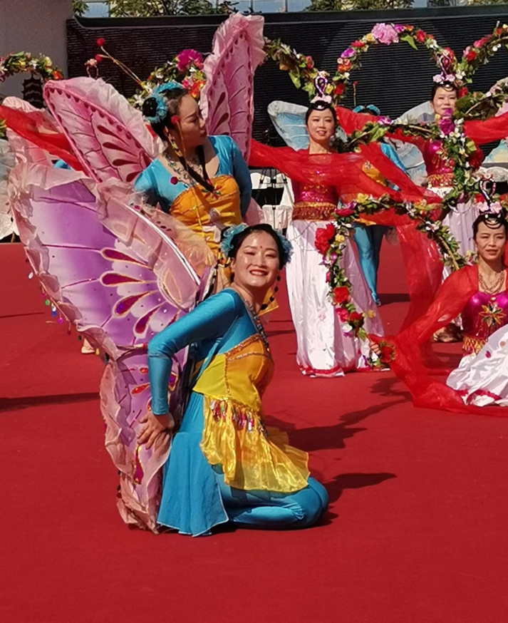 马盛德 中国少数民族民间舞蹈文化全13集,专家,研究,基础,第1张