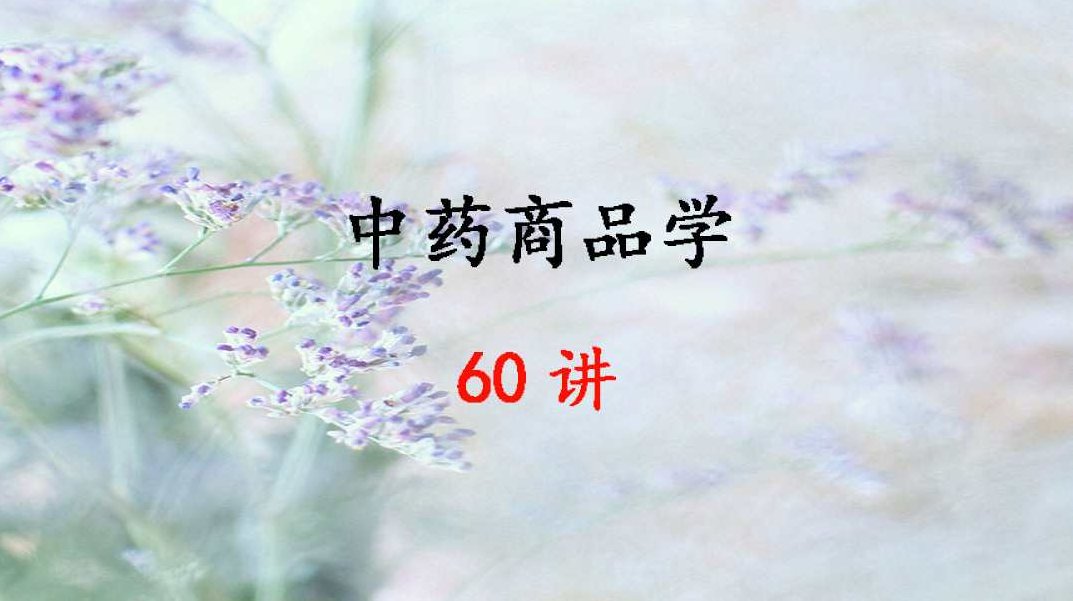 张贵君 中药商品学全60集,专家,经营管理,质量控制,第1张
