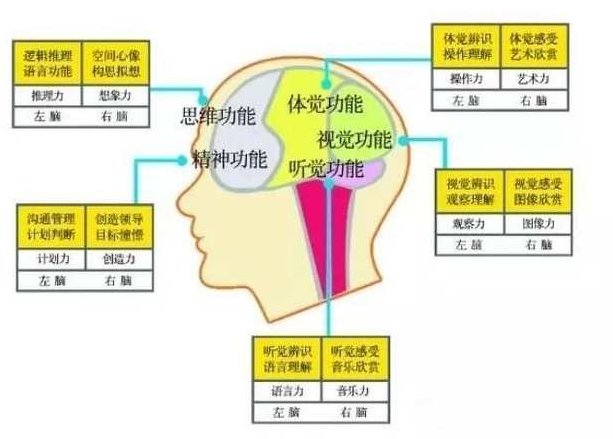 记忆教程 大脑训练记忆力大师快速学习培训视频教程新合集,课程,视频,教程,第1张 记忆教程 大脑训练记忆力大师快速学习培训视频教程新合集,课程,视频,教程,第1张