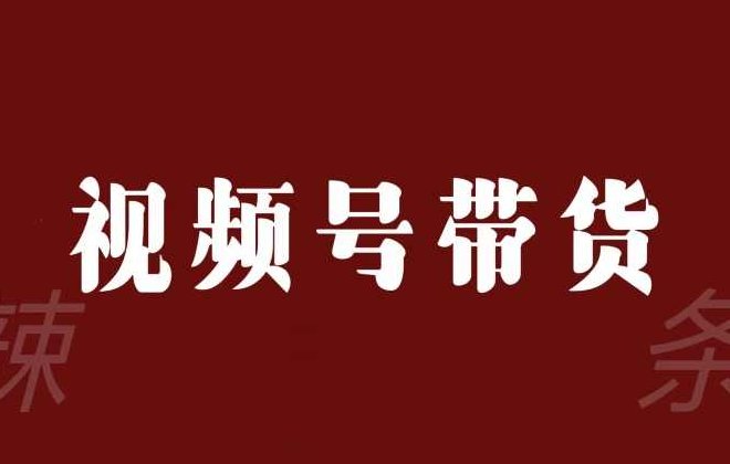 视频号带货联盟，赚信息差的带货钱，只需手机随时随地都可以做！,视频,视频号,第1张