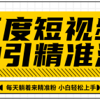百度短视频被动引精准流量，每天躺着来精准粉，超级简单小白轻松上手,视频,发展,第1张