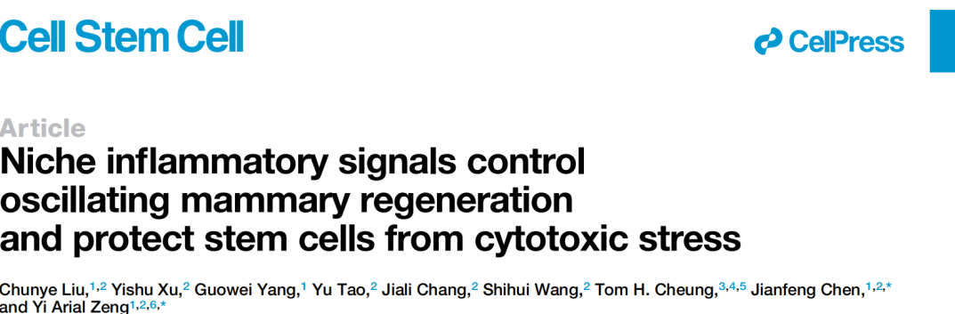 曾锦章 应激调控中的细胞保护与死亡机制,专家,研究,发展,第1张
