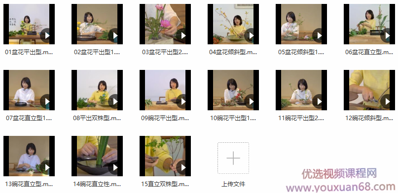 谷雨老师《人文花道美学营》插花教程,课程,视频,教程,第2张