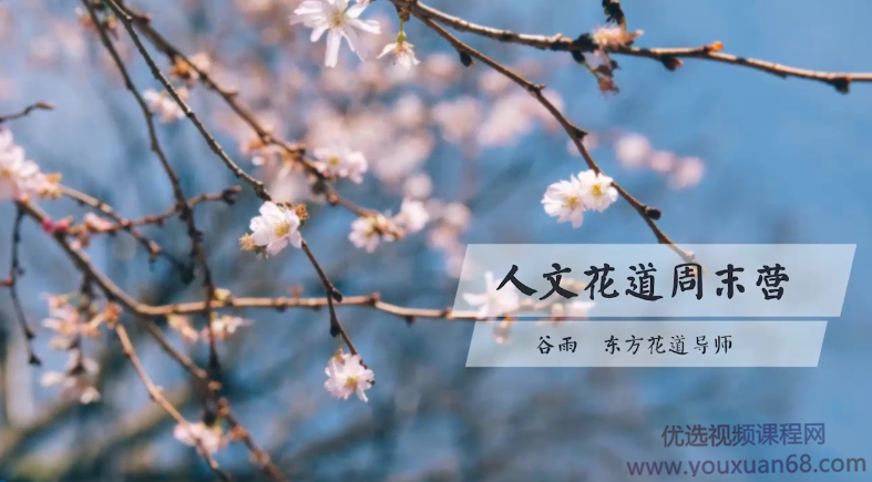 谷雨老师《人文花道美学营》插花教程,课程,视频,教程,第1张