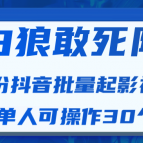 白狼敢死队最新抖音短视频批量起影视号(一天单人可操作30个号)视频课程,课程,视频,教程,第1张 白狼敢死队最新抖音短视频批量起影视号(一天单人可操作30个号)视频课程,课程,视频,教程,第1张