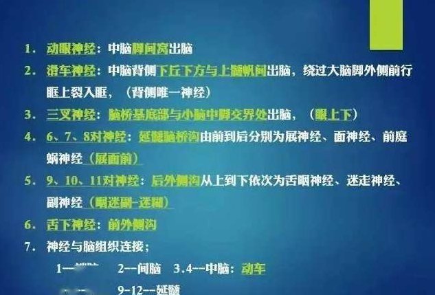 傅瑜 颅神经解剖,注意事项,第1张