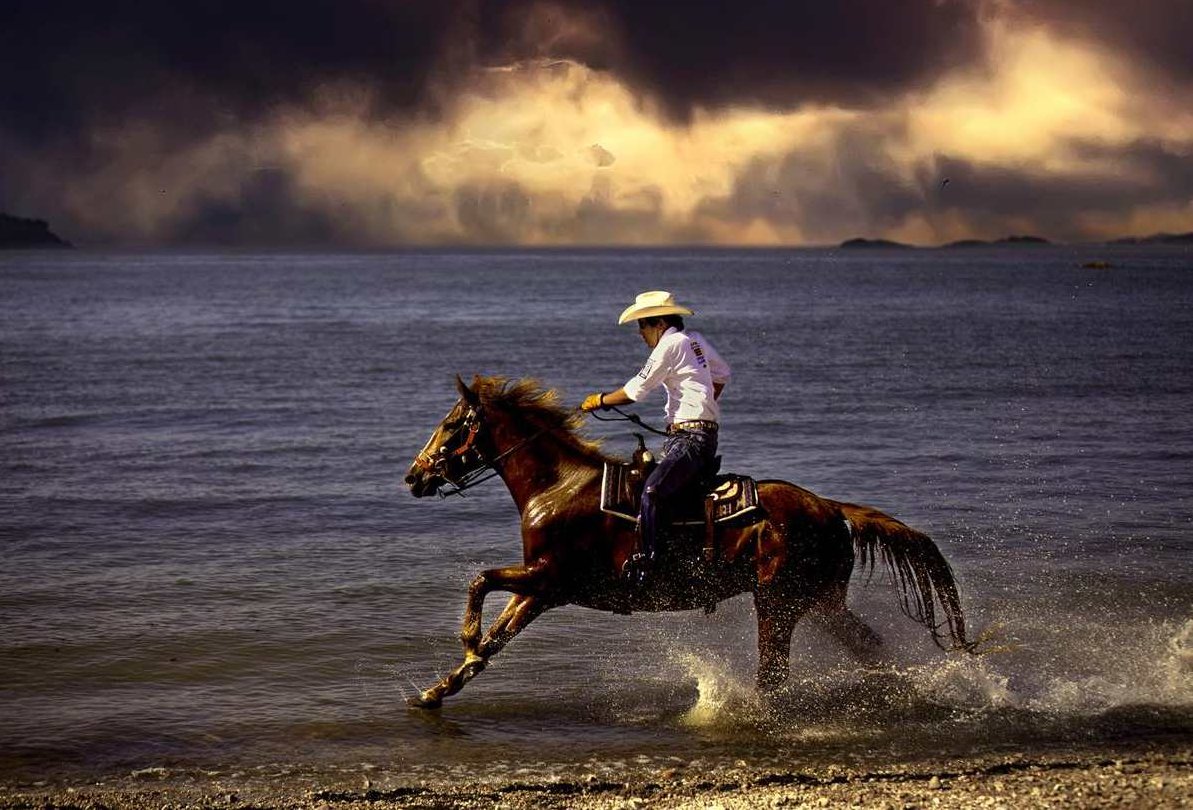 【牛仔网】大师成长之路启明星系列 10课,讲座,精讲,CD,第1张