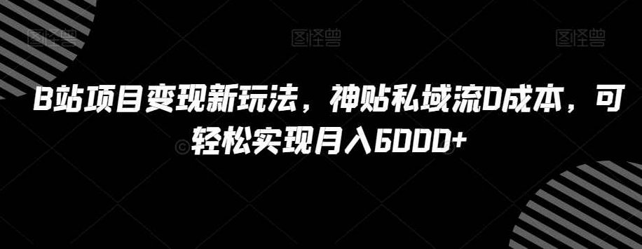 B站项目变现新玩法，神贴私域流0成本，可轻松实现月入6000+【揭秘】,视频,制作,揭秘,第1张