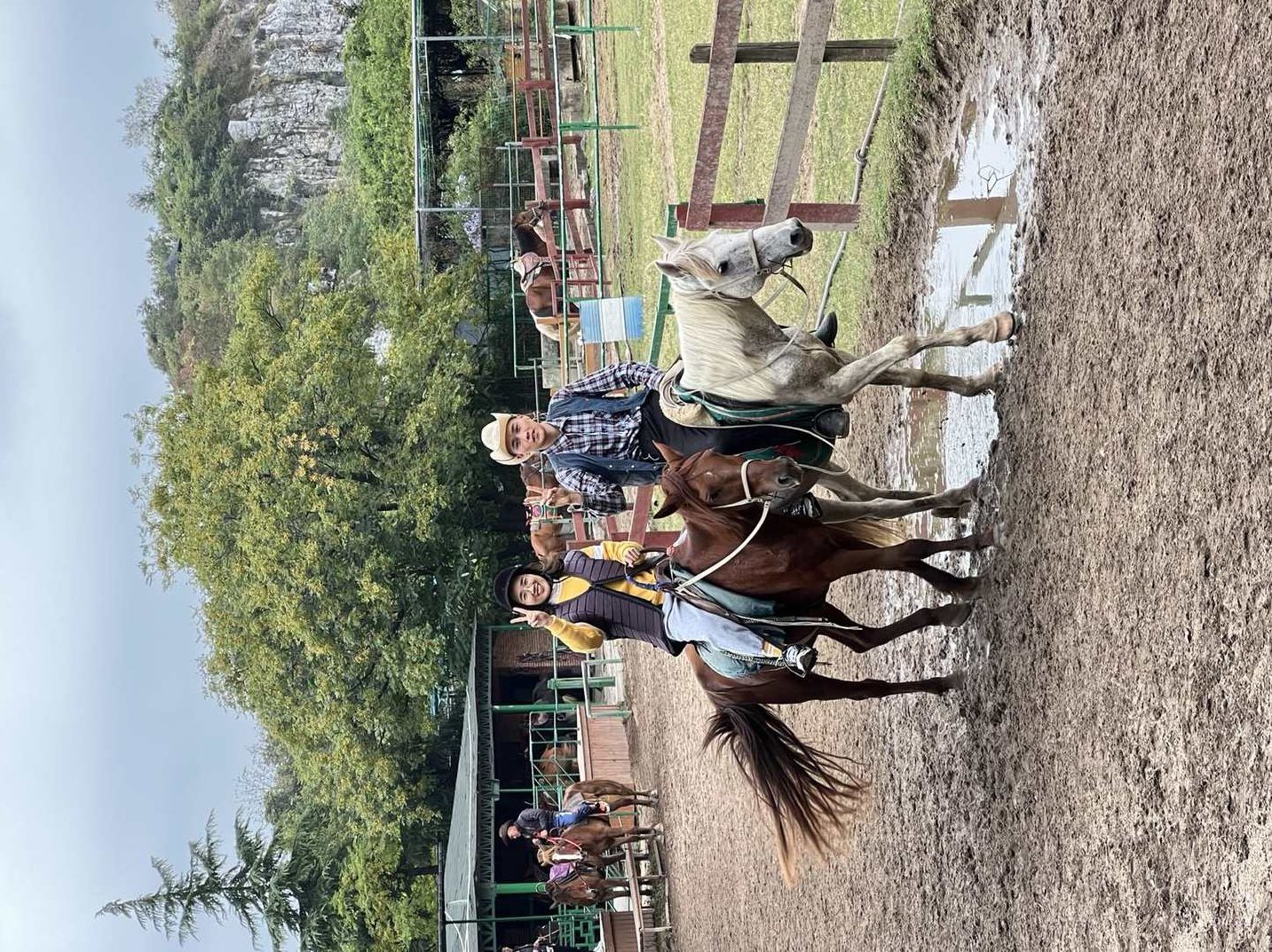 【牛仔网】龙头泰山精英操盘 6课