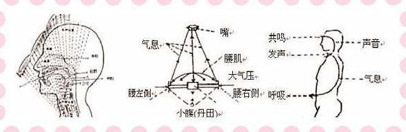 流行歌曲唱歌技巧视频教程,视频,教程,视频教程,第1张 流行歌曲唱歌技巧视频教程,视频,教程,视频教程,第1张