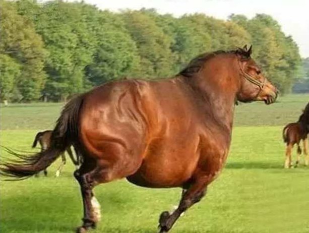 瘦马 我们怎么去时尚高清,高清,文学,总裁,第1张