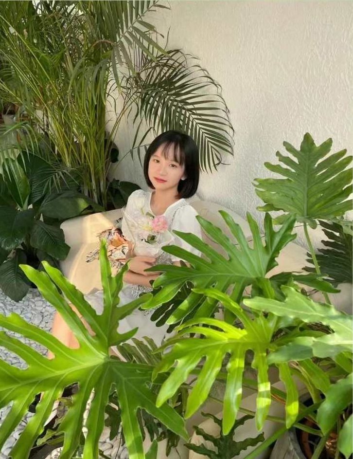 程玲 要么传播要么毁灭