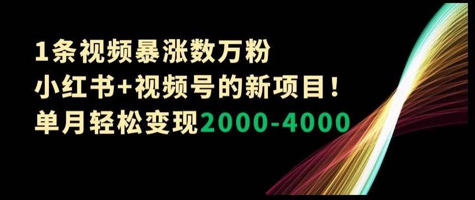 1条视频暴涨数万粉–小红书+视频号的新项目！单月轻松变现2000-4000【揭秘】,课程,视频,教程,第1张