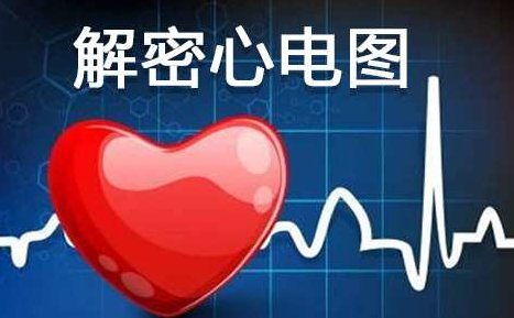 解密心电图 如何迅速读懂心电图,课程,应用,死记硬背,第1张