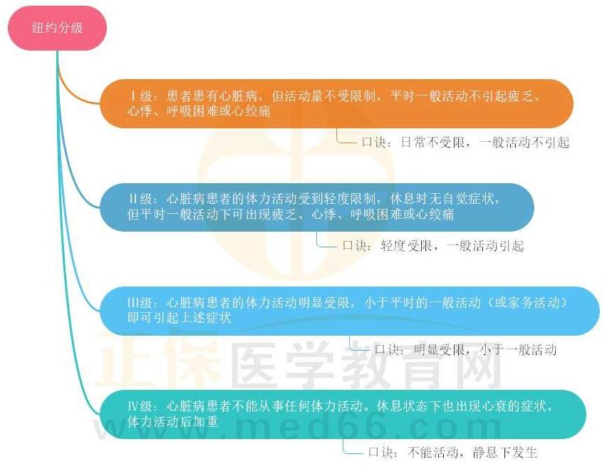 执业医师 心血管系统医师特训营,课程,训练营,特训营,第1张
