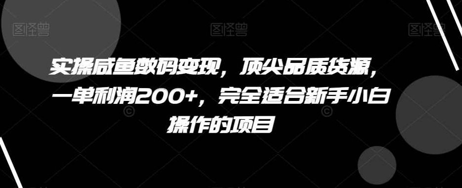 实操咸鱼数码变现，顶尖品质货源，一单利润200+，完全适合新手小白操作的项目【揭秘】,课程,教程,资料,第1张
