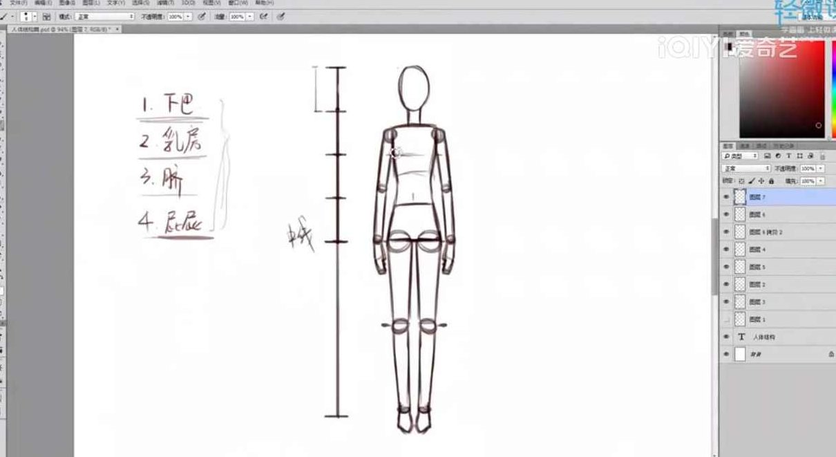 人体结构与比例初级入门之动漫绘制,课程,教程,基础,第1张